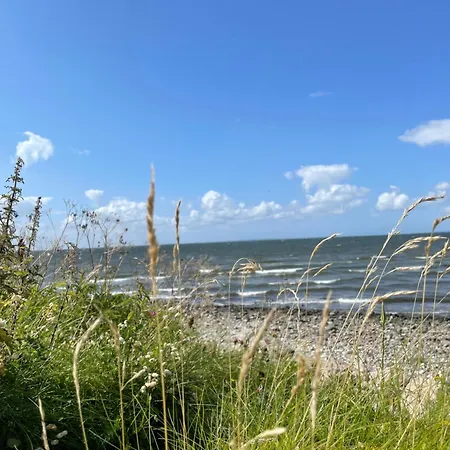Naturlig Ro * Ålborg